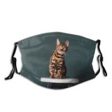 yanfind Happiness Young Striped Cat Kitty Cute Shorthair Leopard Bengal Carpet Curious Puss Dust Washable Reusable Filter and Reusable Mouth Warm Windproof Cotton Face