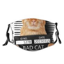 yanfind Isolated Felon Gangster Drunk Cat Wool Board Breach Cute Jail Suspect Judgment Dust Washable Reusable Filter and Reusable Mouth Warm Windproof Cotton Face
