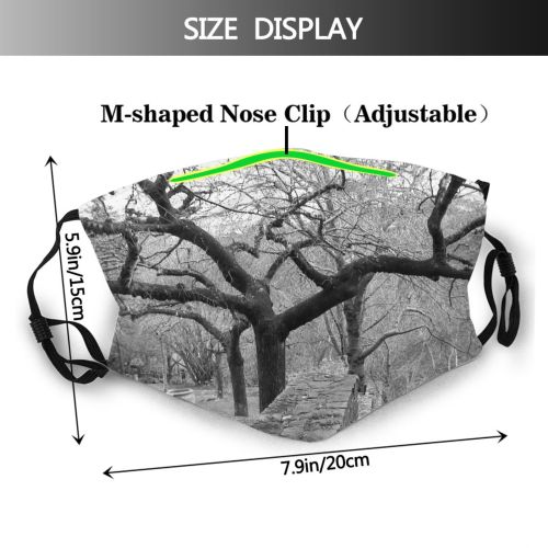 yanfind Winter Winter Woody Plant Branch Australia Leura Tree Tree Trunk Architecture Garden Dust Washable Reusable Filter and Reusable Mouth Warm Windproof Cotton Face
