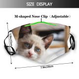yanfind Fur Young Cat Kitty Cute Beautiful Pretty Face Pet Fluffy Eyes Furry Dust Washable Reusable Filter and Reusable Mouth Warm Windproof Cotton Face