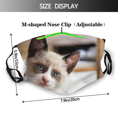 yanfind Fur Young Cat Kitty Cute Beautiful Pretty Face Pet Fluffy Eyes Furry Dust Washable Reusable Filter and Reusable Mouth Warm Windproof Cotton Face