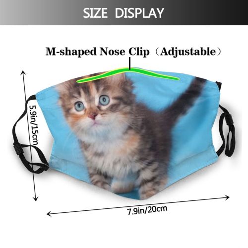yanfind Fur Young Cat Kitty Tricolor Soft Baby Ears Furry Tail Funny Kitten Dust Washable Reusable Filter and Reusable Mouth Warm Windproof Cotton Face