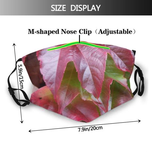yanfind Plant Efeu Plant Flower Maple Ivy Botany Flowering Leaf Autumn Tree Autumn Dust Washable Reusable Filter and Reusable Mouth Warm Windproof Cotton Face