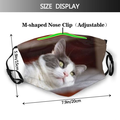 yanfind Physique Isolated Hunter Picture Fit Cat Kitty Cute Relaxed Coon Grey Interior Dust Washable Reusable Filter and Reusable Mouth Warm Windproof Cotton Face