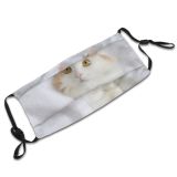 yanfind Looks Isolated Comfort Fur Ear Cat Cute Focus Nose Staring Mouth Peeking Dust Washable Reusable Filter and Reusable Mouth Warm Windproof Cotton Face