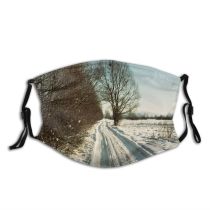 yanfind Lane Marsh Slovenija Landscape Sky Infrastructure Tree Plant Snow Winter Road Freezing Dust Washable Reusable Filter and Reusable Mouth Warm Windproof Cotton Face