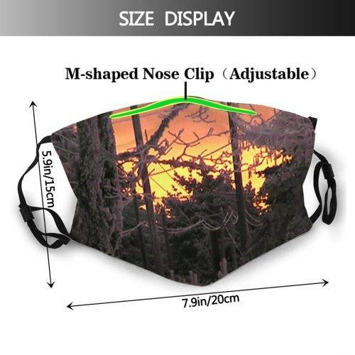 yanfind Winter Sky Plant Tree Dusk Branch Dawn Forest Heat Plant Woody Evening Dust Washable Reusable Filter and Reusable Mouth Warm Windproof Cotton Face