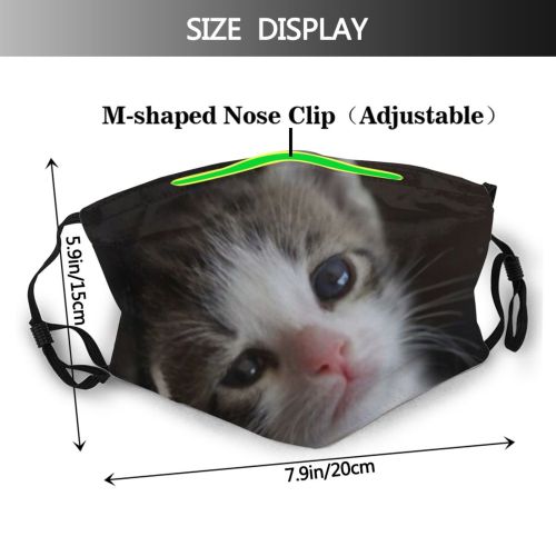 yanfind Fur Young Together Little Cat Kitty Cute Kittens Baby Beautiful Pretty Sweet Dust Washable Reusable Filter and Reusable Mouth Warm Windproof Cotton Face