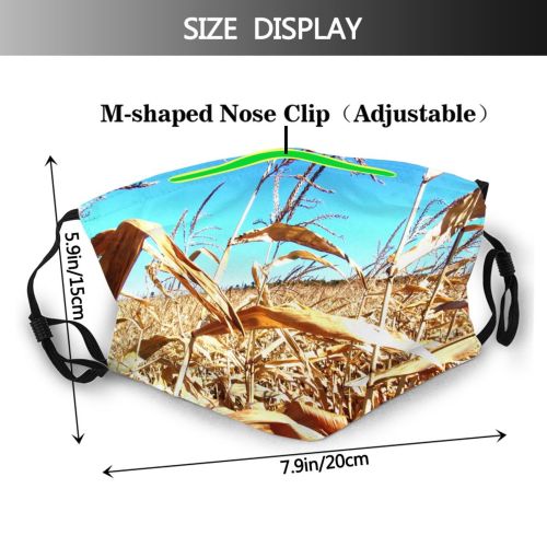 yanfind Grain Family Corn Plant Fall Sky Stem Phragmites Wheat Crop Grass Grain Dust Washable Reusable Filter and Reusable Mouth Warm Windproof Cotton Face