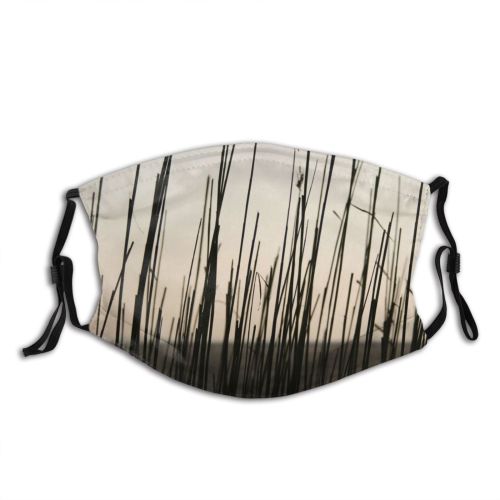 yanfind Northsea Winter Sky Sun Sky Plant Ice Tree Herbage Family Grass Snow Dust Washable Reusable Filter and Reusable Mouth Warm Windproof Cotton Face