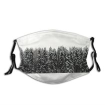 yanfind Winter Christmas Winter Woody Plant Ice Snow Forest Season Tree Blizzard Biome Dust Washable Reusable Filter and Reusable Mouth Warm Windproof Cotton Face