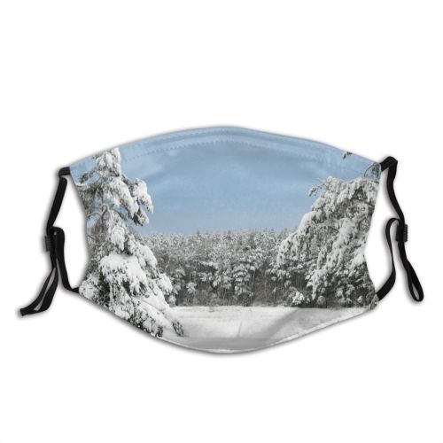 yanfind Winter Frost Heritage Winter Natural Woody Landscape Sky Branch Spruce Snow Olsztynek Dust Washable Reusable Filter and Reusable Mouth Warm Windproof Cotton Face