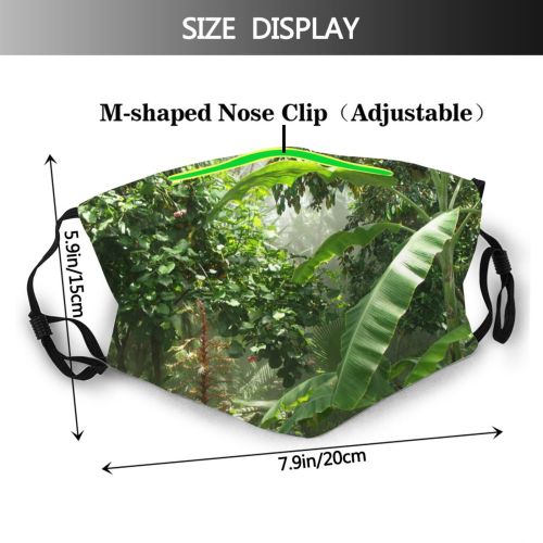yanfind Plant Exotic Flower Tree Plant Dark Forest Jungle Rainforest Terrestrial Botany Leaf Dust Washable Reusable Filter and Reusable Mouth Warm Windproof Cotton Face