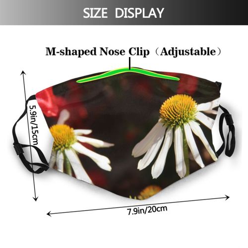 yanfind Plant Flower Bellis Flower Coneflower Coneflower English Daisy Plant Daisy Spring Family Dust Washable Reusable Filter and Reusable Mouth Warm Windproof Cotton Face