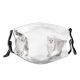 yanfind Isolated Fur Young Cat Kitty British Cute Space Beautiful Pretty Sibling Shot Dust Washable Reusable Filter and Reusable Mouth Warm Windproof Cotton Face