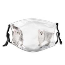 yanfind Isolated Fur Young Cat Kitty British Cute Space Beautiful Pretty Sibling Shot Dust Washable Reusable Filter and Reusable Mouth Warm Windproof Cotton Face