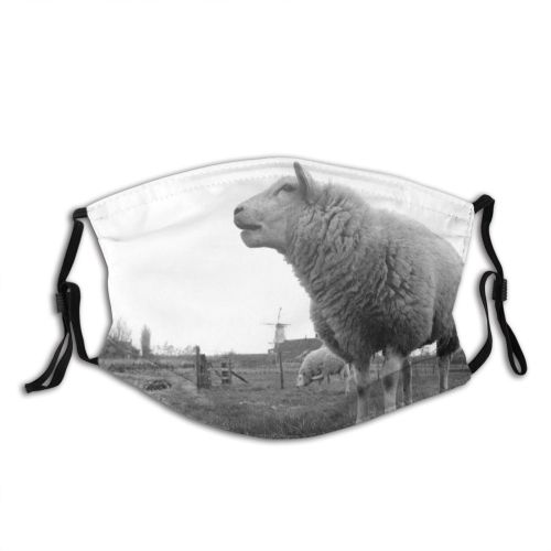 yanfind Grazing Mill Netherlands Fence Pasture Snout Gate Grassland Meadow Windmill Sheep Terrestrial Dust Washable Reusable Filter and Reusable Mouth Warm Windproof Cotton Face