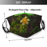 yanfind  Spring Botany Flower Narcissus Park Stem Garden Flora Blooming Vibrant Daffodil Dust Washable Reusable Filter and Reusable Mouth Warm Windproof Cotton Face