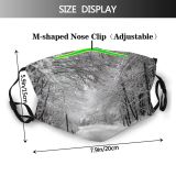 yanfind Winter Winter Natural Atmospheric Landscape Snow Road Tree Tree Frost Road Ozalj Dust Washable Reusable Filter and Reusable Mouth Warm Windproof Cotton Face