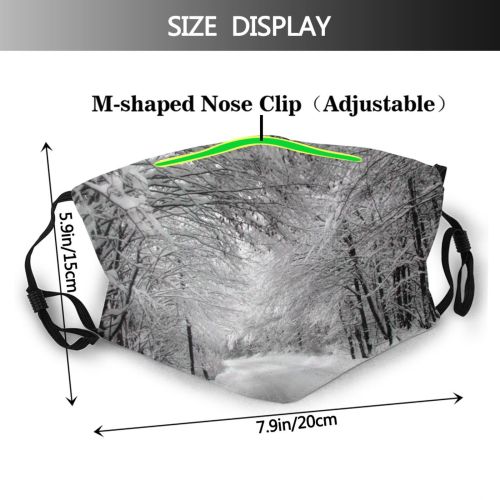 yanfind Winter Winter Natural Atmospheric Landscape Snow Road Tree Tree Frost Road Ozalj Dust Washable Reusable Filter and Reusable Mouth Warm Windproof Cotton Face
