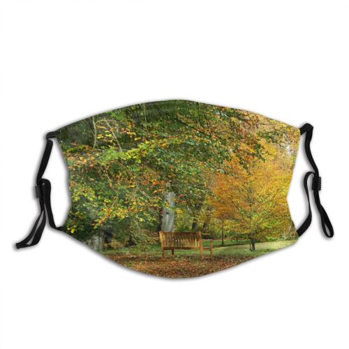 yanfind Natural Leaves Landscape Maple Colorful Leaf Forest Hardwood Bench Leaf Northern Tree Dust Washable Reusable Filter and Reusable Mouth Warm Windproof Cotton Face
