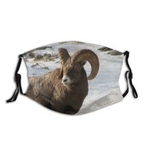 yanfind Winter Rocky Barbary Goat Forrest Rocks Ice Goats Goats Mountain Pine Rock Dust Washable Reusable Filter and Reusable Mouth Warm Windproof Cotton Face