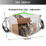 yanfind Foster Young Cat Kitty Cute Box Pet Cats Cardboard Tabby Kitten Adorable Dust Washable Reusable Filter and Reusable Mouth Warm Windproof Cotton Face
