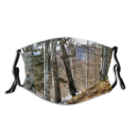 yanfind Winter Winter Natural Growth Woody Leaves Birch Snow Mountain Pine Forest Hardwood Dust Washable Reusable Filter and Reusable Mouth Warm Windproof Cotton Face
