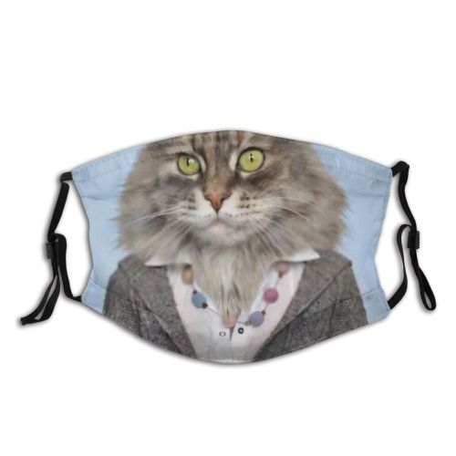yanfind Fur Fashion Skirt Sweater Cat Anthropomorphism Trendy Dress Nobody Transformation Glamour Lady Dust Washable Reusable Filter and Reusable Mouth Warm Windproof Cotton Face