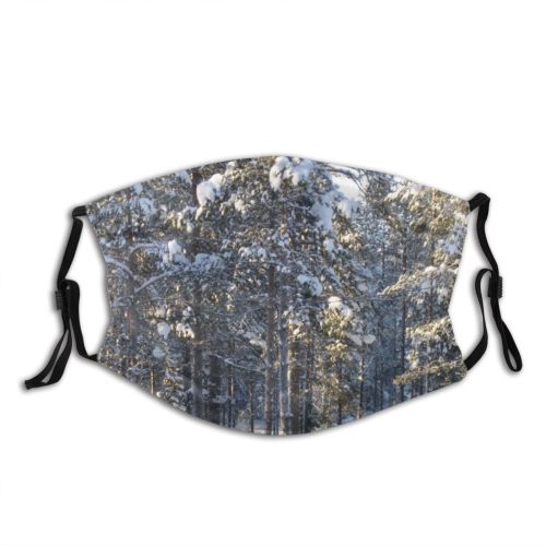 yanfind Lapp Levi Winter Sun Woody Birch Sky Plant Ice Kotta Snow Finland Dust Washable Reusable Filter and Reusable Mouth Warm Windproof Cotton Face