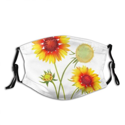 yanfind Blossom Spring Flower Garden Flora Bud Meadow Wildflower Plant Pulchella Botanic Sunflower Dust Washable Reusable Filter and Reusable Mouth Warm Windproof Cotton Face