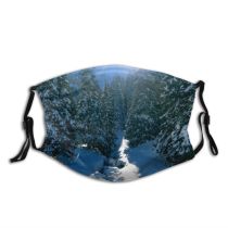 yanfind Winter Mountain Sky River Tree Alps Light Winter Freezing Sun Snow Wilderness Dust Washable Reusable Filter and Reusable Mouth Warm Windproof Cotton Face