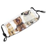 yanfind Isolated Fur Fashion Young Little Cat Cute Yorkie Dog Puppy Pedigree Posing Dust Washable Reusable Filter and Reusable Mouth Warm Windproof Cotton Face