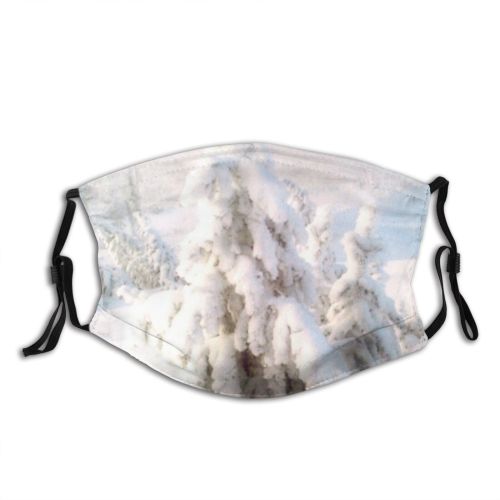yanfind Fir Winter Saskatchewan Geological Tree Tree Plant Frost Winter Freezing Atmospheric Snow Dust Washable Reusable Filter and Reusable Mouth Warm Windproof Cotton Face