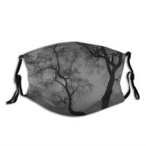 yanfind Winter Landscape Sky Tree Branch Atmosphere Natural Atmospheric Dust Washable Reusable Filter and Reusable Mouth Warm Windproof Cotton Face