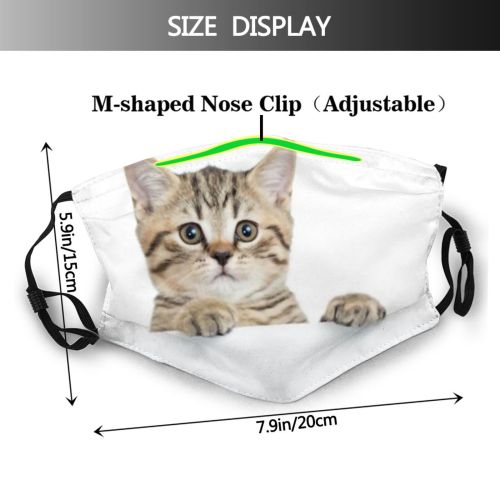 yanfind Isolated Fur Young Striped Cat Kitty Cute Whiteboard Grey Billboard Peeking Blank Dust Washable Reusable Filter and Reusable Mouth Warm Windproof Cotton Face