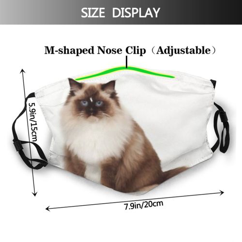 yanfind Isolated Fur Young Yelloweye Cat British Cute Shorthair Old Pedigree Baby Space Dust Washable Reusable Filter and Reusable Mouth Warm Windproof Cotton Face