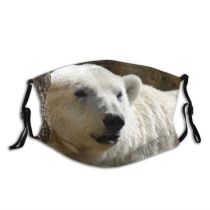 yanfind Vertebrate Adaptation Carnivore Terrestrial Arctic Bear Warming Snout Bear Predator Polar Dust Washable Reusable Filter and Reusable Mouth Warm Windproof Cotton Face