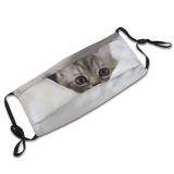 yanfind Fur Young Little Cat Kitty Cute Kittens Shorthair Grey Pillow Interesting Baby Dust Washable Reusable Filter and Reusable Mouth Warm Windproof Cotton Face