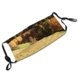 yanfind Natural Trentino Autumn Falesina Leaves Landscape Sky Fall Leaf Leaf Tree Tree Dust Washable Reusable Filter and Reusable Mouth Warm Windproof Cotton Face