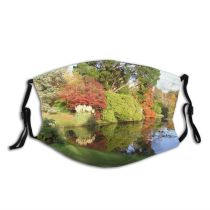 yanfind Leaves Pond Landscape Leaf Trees Reflection Tree Garden Natural Autumn Autumn Reflection Dust Washable Reusable Filter and Reusable Mouth Warm Windproof Cotton Face