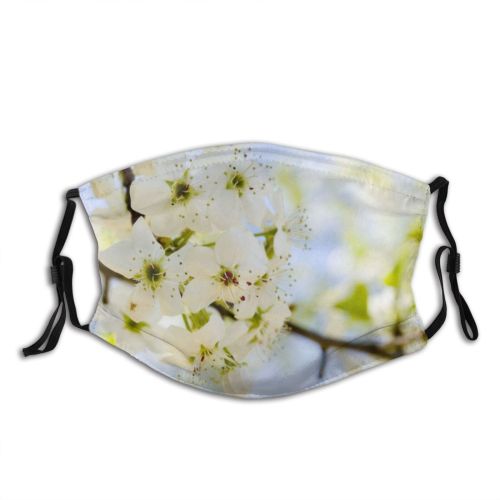 yanfind May Flower Blossum Spring Sky Limb Spring Cherry Leaves Branch Plant Flowers Dust Washable Reusable Filter and Reusable Mouth Warm Windproof Cotton Face