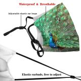 yanfind Ground Peacock Wing Fountain Tail Wader Phasianidae Accessory Beak Feather Bird Peafowl Dust Washable Reusable Filter and Reusable Mouth Warm Windproof Cotton Face