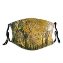 yanfind Dead Natural Sun Woody Leaves Landscape Sunlight Wood Forest Leaf Umbers Tree Dust Washable Reusable Filter and Reusable Mouth Warm Windproof Cotton Face