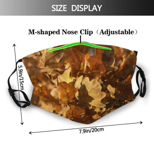 yanfind Deciduous Sunlight Leaf Plant Maple Tree Branch Autumn Plane Autumn Dust Washable Reusable Filter and Reusable Mouth Warm Windproof Cotton Face