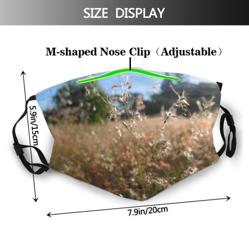 yanfind Family Vegetation Landscape Sky Plant Spring Grass Natural Grass Morning Ecoregion Wheat Dust Washable Reusable Filter and Reusable Mouth Warm Windproof Cotton Face