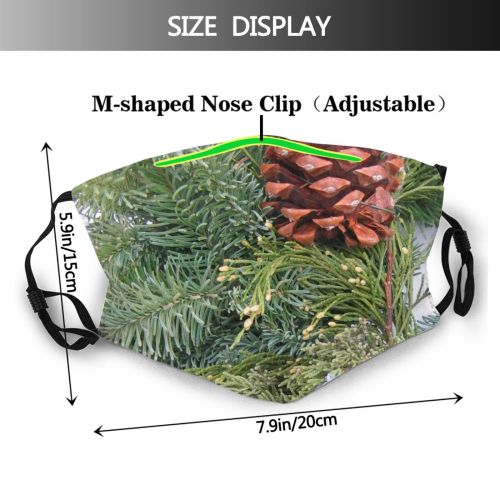 yanfind Winter Silvertip Sugar Spruce Colorado Balsam Cone Decoration Wreath Shortleaf Pine Christmas Dust Washable Reusable Filter and Reusable Mouth Warm Windproof Cotton Face