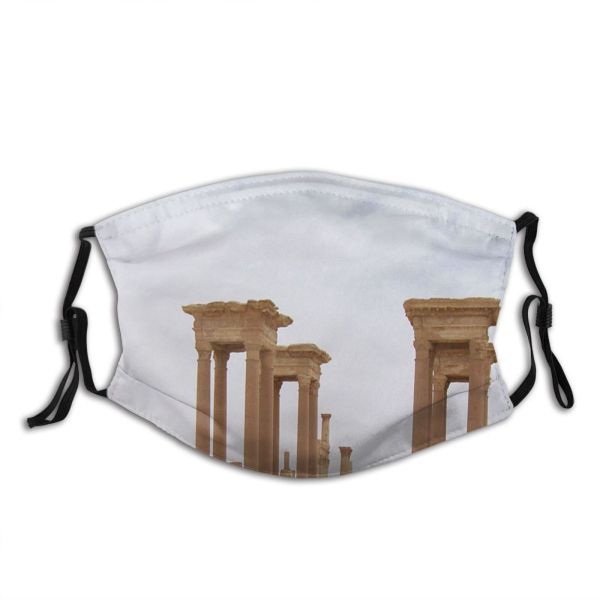 yanfind Column History Roman Ancient Architecture Greek Architecture Historic Roman Ruins Syria History Dust Washable Reusable Filter and Reusable Mouth Warm Windproof Cotton Face