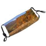 yanfind Landscape Leaf Sky Tree Hill Grass Natural Autumn Autumn Wilderness Dust Washable Reusable Filter and Reusable Mouth Warm Windproof Cotton Face