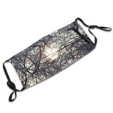 yanfind Winter Frost Blur Sun Woody Sky Plant Branch Sunlight Twig Tree Sunset Dust Washable Reusable Filter and Reusable Mouth Warm Windproof Cotton Face
